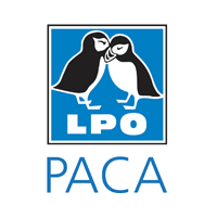 lpopaca.gif